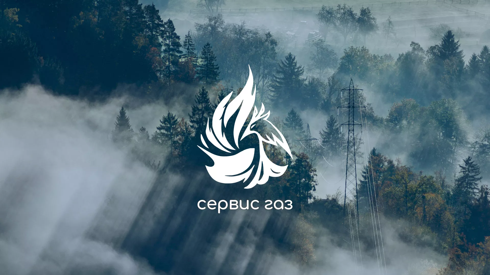 Создание сайта компании «Сервис газ» в Окуловке