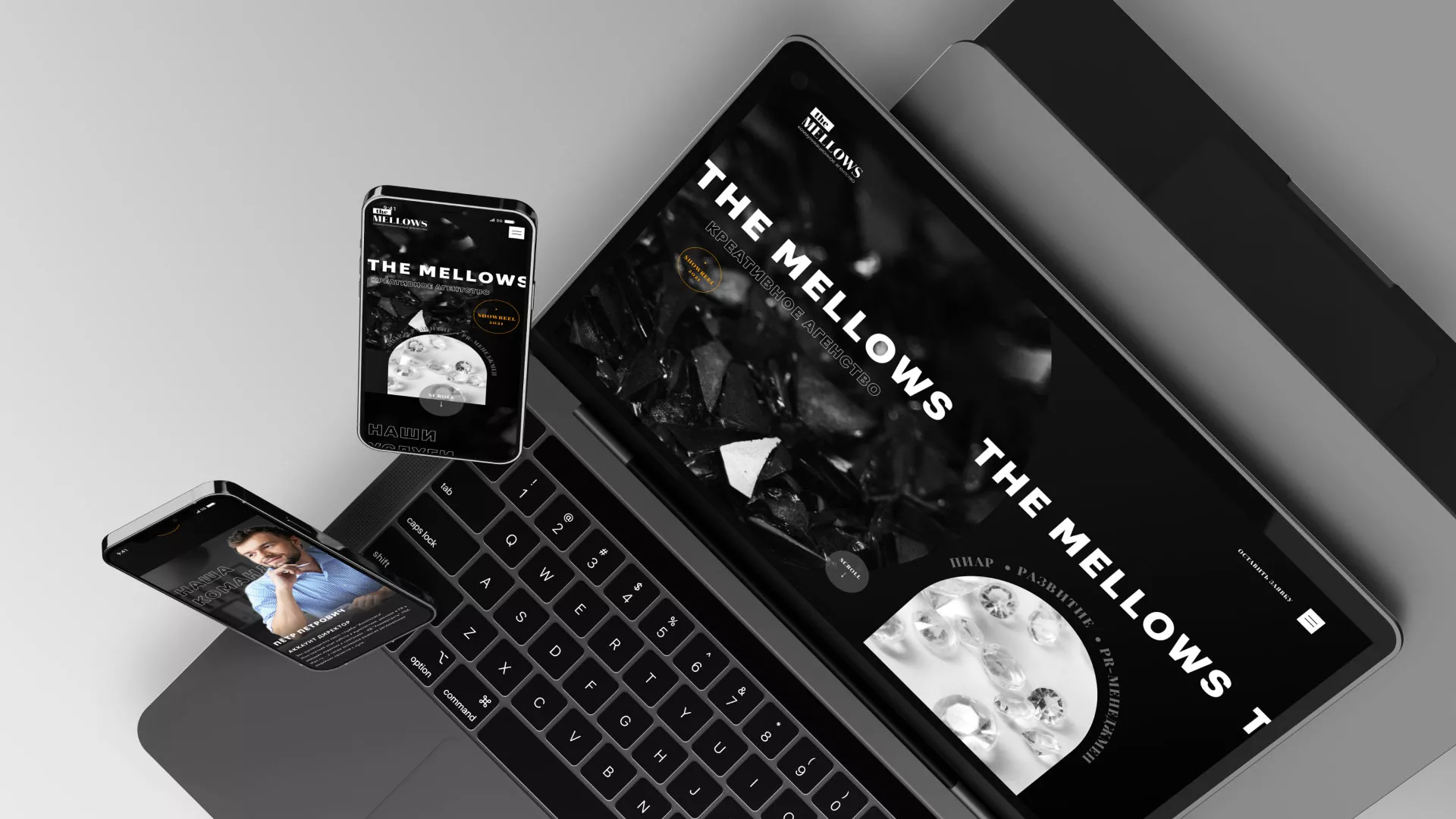 Разработка сайта креативного агентства «The Mellows» в Окуловке