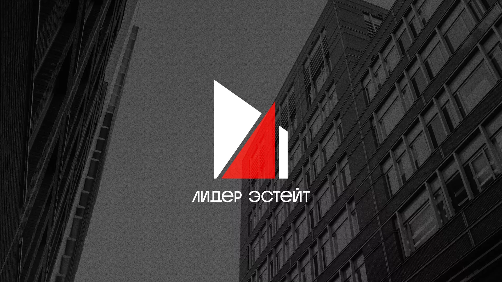 Сделали логотип для агентства недвижимости «Лидер Эстейт» в Окуловке